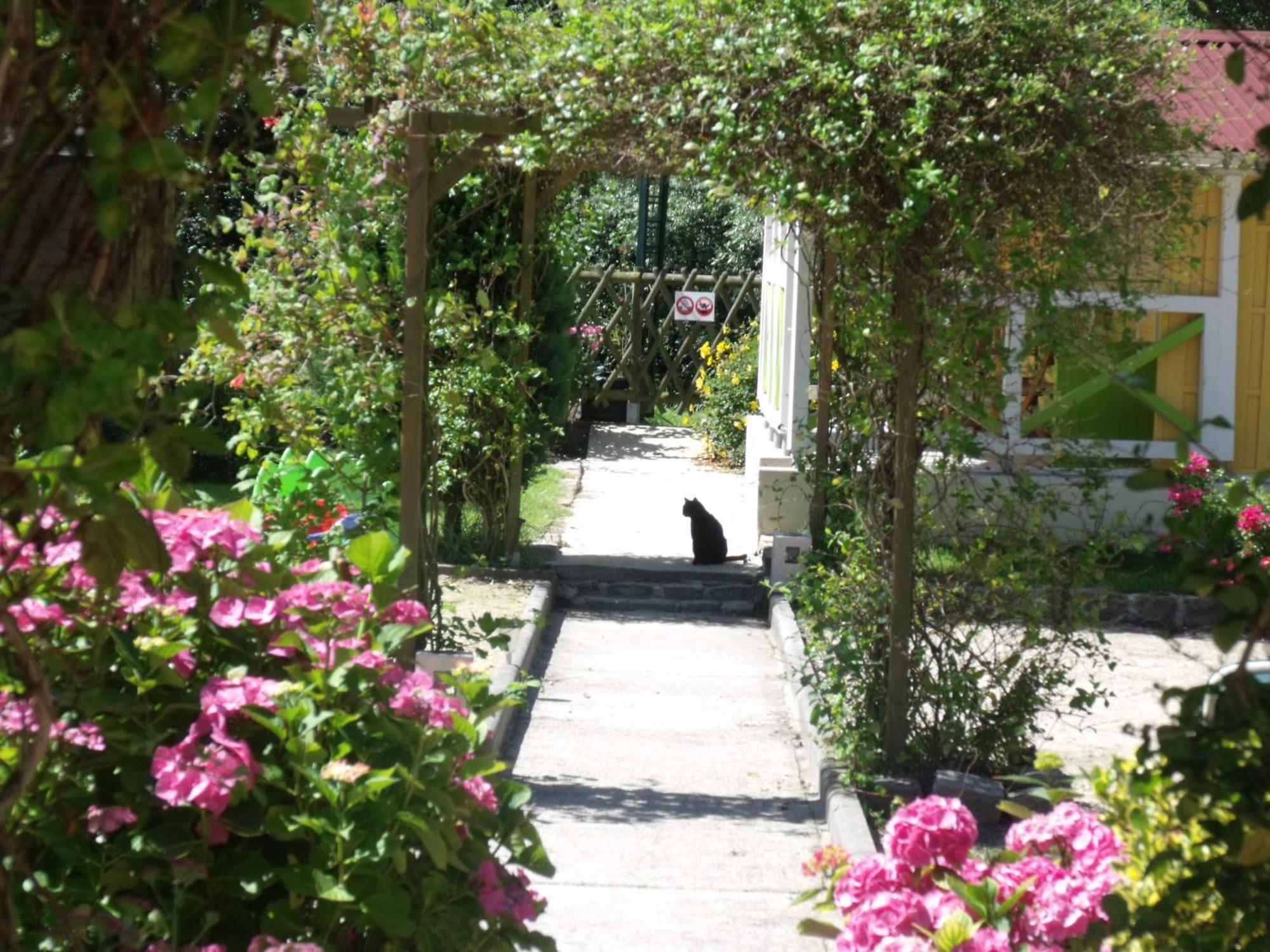 Le Clos Robinson Martin-Église Dış mekan fotoğraf